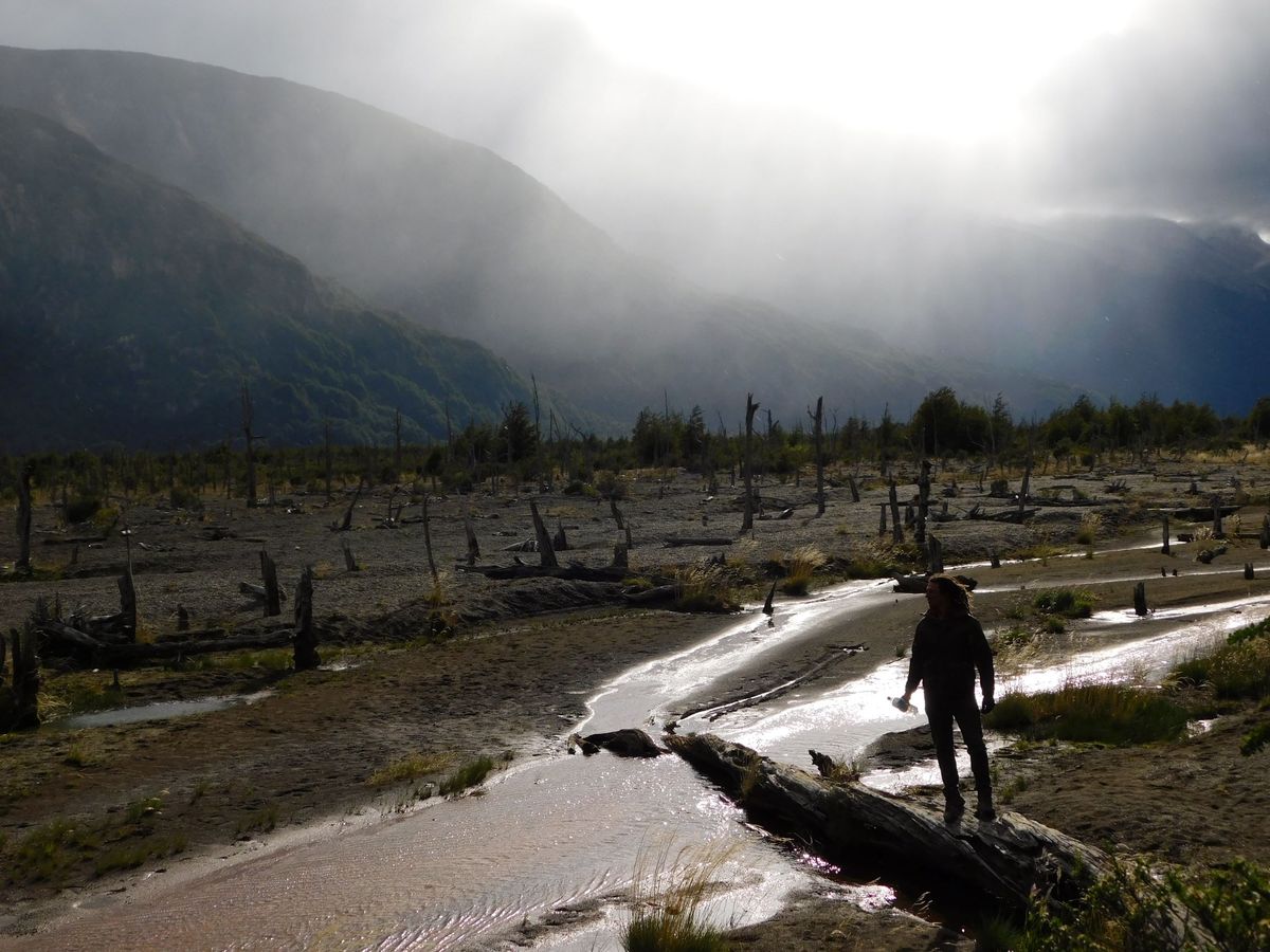 A Halott Erdő Völgye Carretera Austral