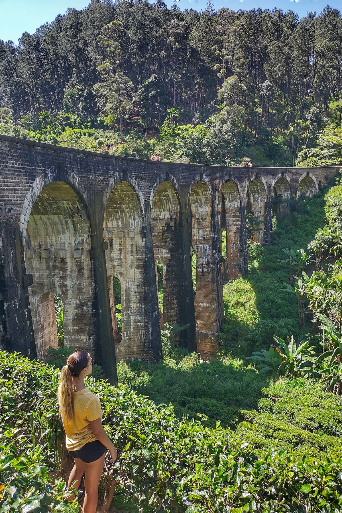 Nine Arches Bridge