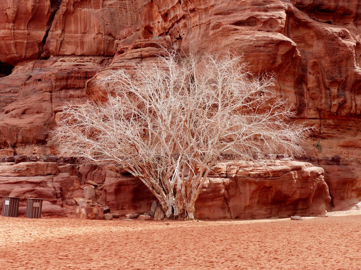 WADI-RUM